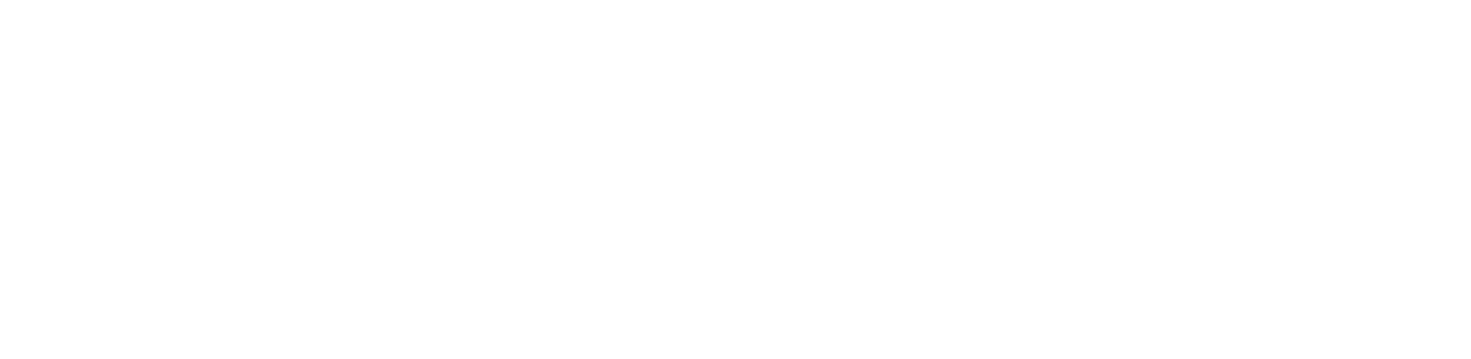 Andes Pharma Group